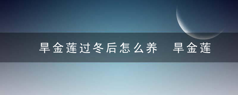 旱金莲过冬后怎么养 旱金莲过冬后如何养呢